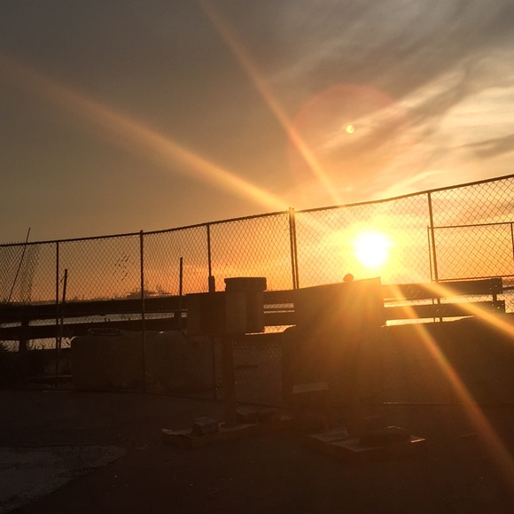 Meet your Posher, Diana - Picture 1 of 1